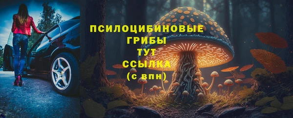 мдпв Вязники